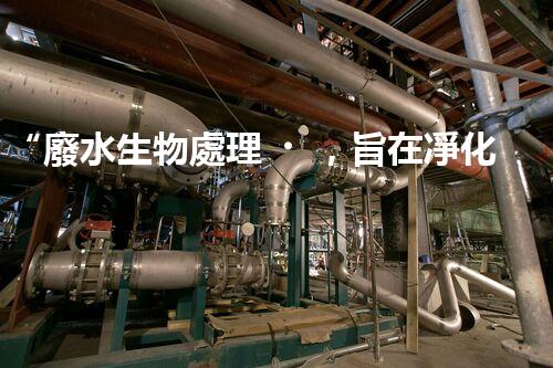 “廢水生物處理，旨在凈化水源，守護(hù)碧水藍(lán)天”